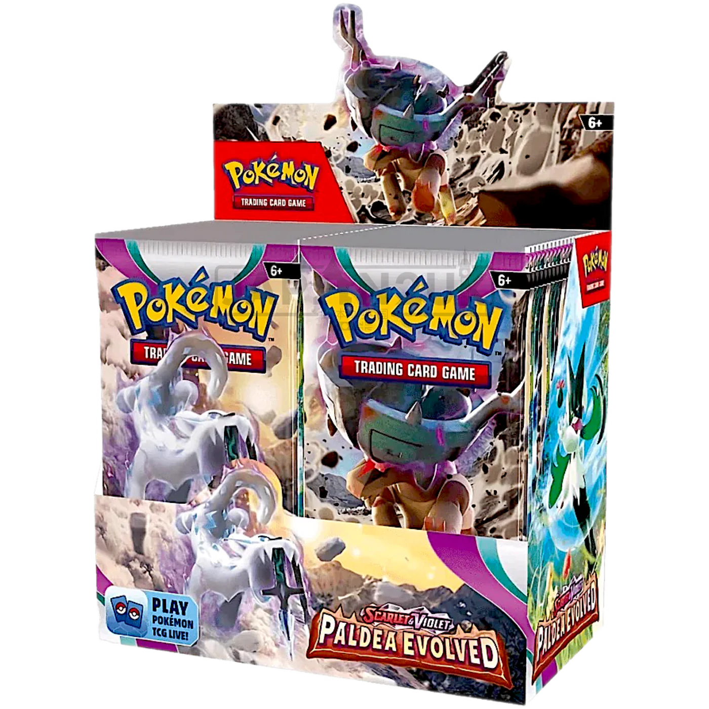 POKEMON PALDEA EVOLVED ENGLISH BOOSTER BOX